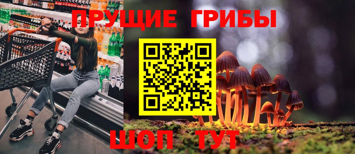 Камышлов  Галлюциногенные грибы Psilocybe  Вход с VPN 